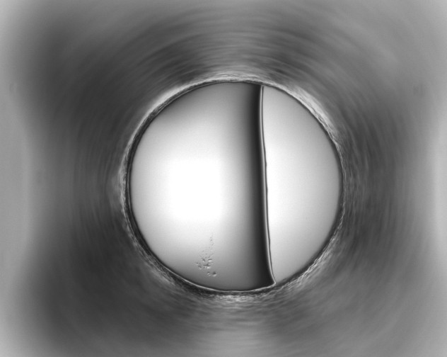 X0000096470854200801241137