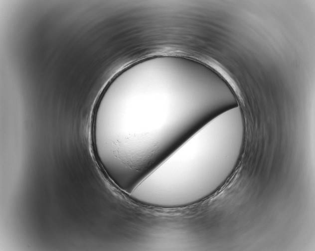 X0000096470861200801241137