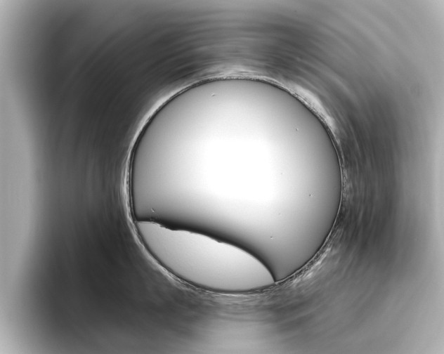 X0000096470863200801241137