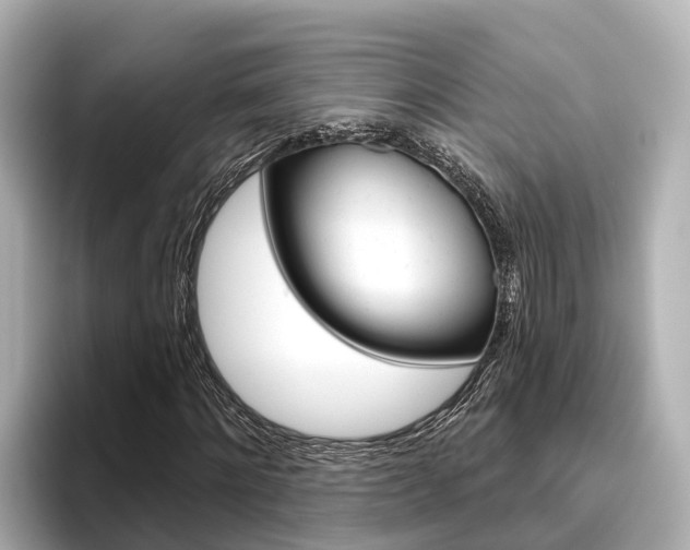 X0000096470868200801241136