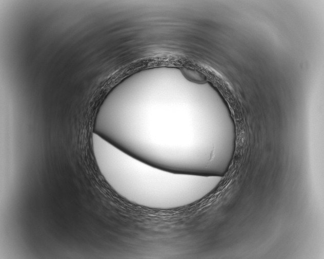 X0000096470869200801241136