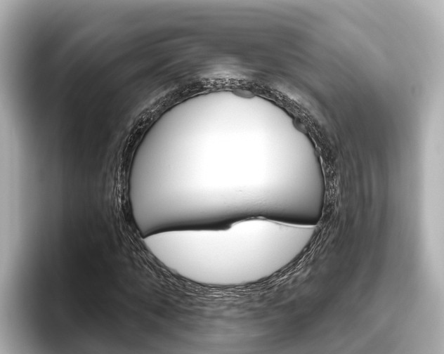 X0000096470870200801241136