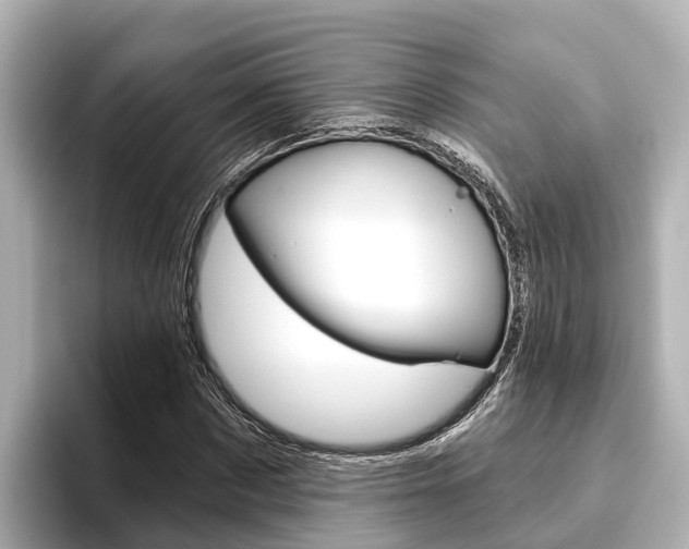 X0000096470873200801241136