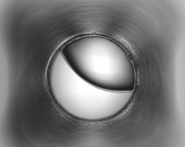 X0000096470876200801241136