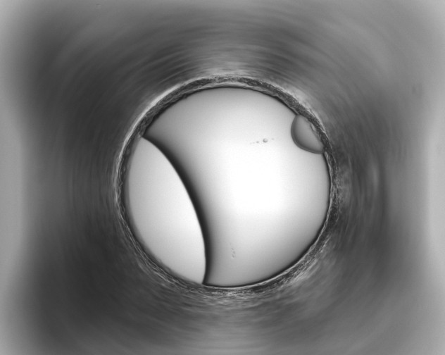 X0000096470879200801241136