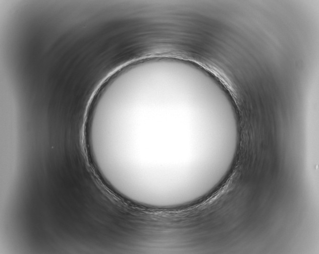 X0000096470880200801241136