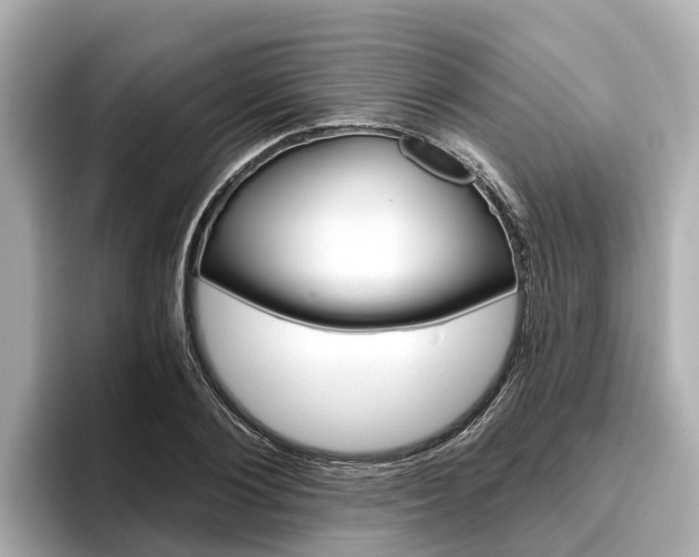 X0000096470884200801241136