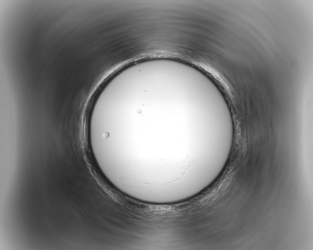 X0000096470886200801241136