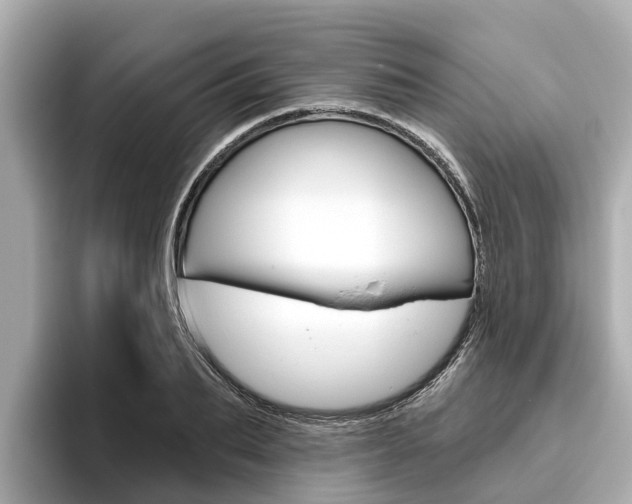 X0000096470887200801241136