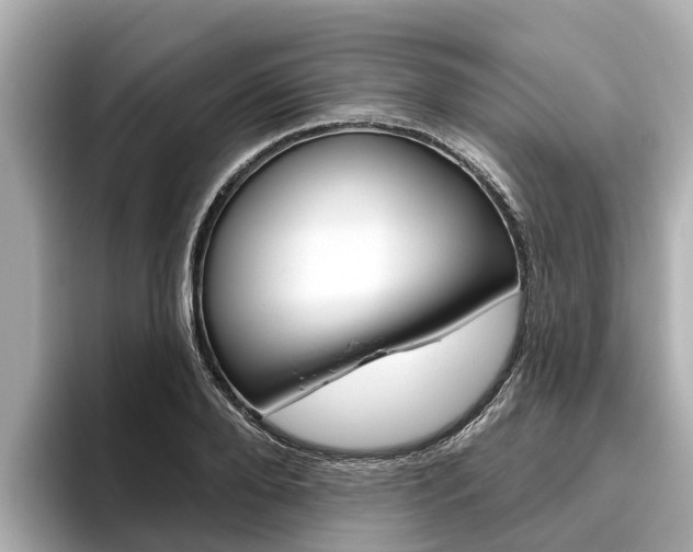 X0000096470888200801241136