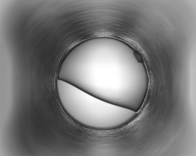 X0000096470889200801241136