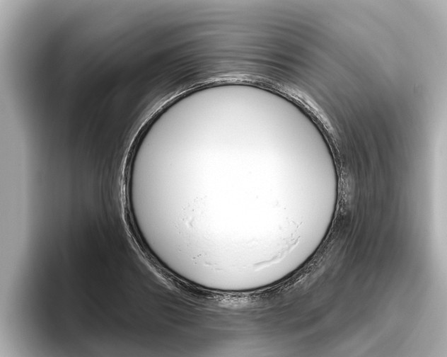 X0000096470890200801241136