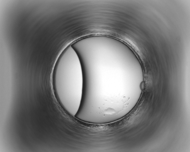 X0000096470891200801241136