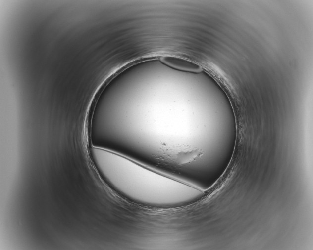 X0000096470892200801241136