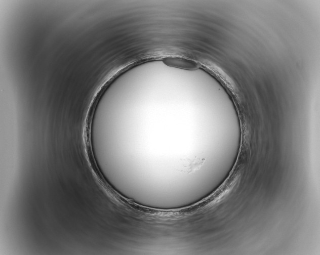 X0000096470893200801241136