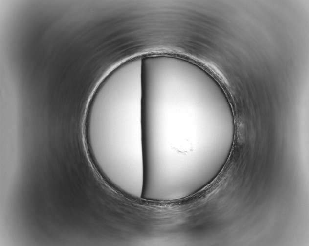 X0000096470895200801241136