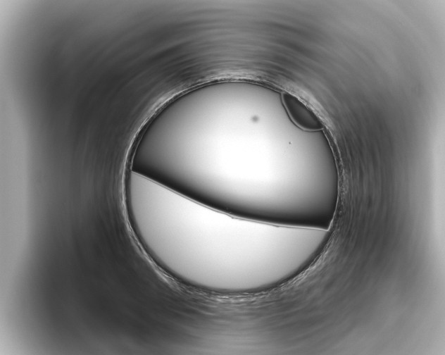 X0000096470898200801241136