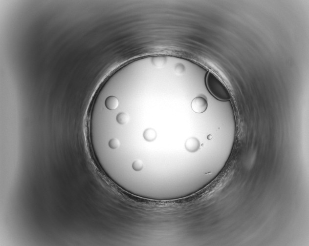 X0000096470899200801241136