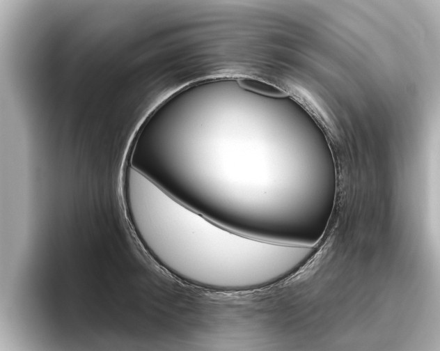 X0000096470900200801241136