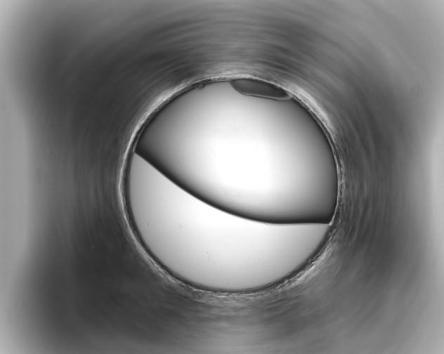 X0000096470901200801241136
