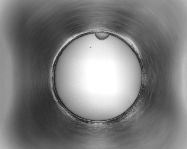 X0000096470903200801241136