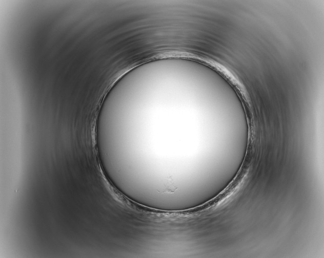 X0000096470905200801241136