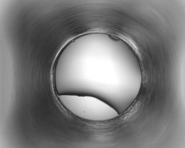X0000096470907200801241136