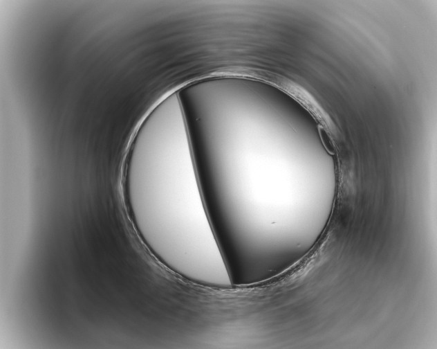 X0000096470908200801241136