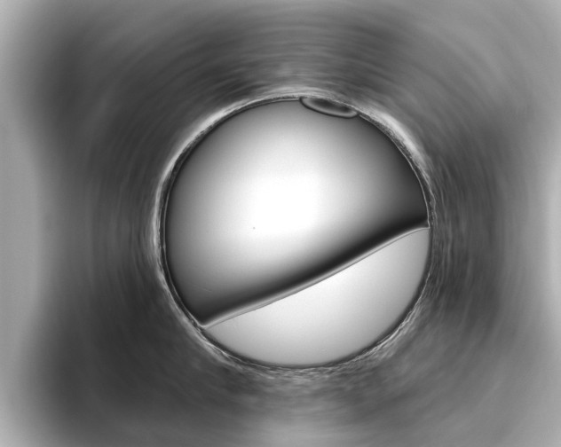 X0000096470910200801241136