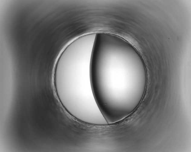 X0000096470912200801241136