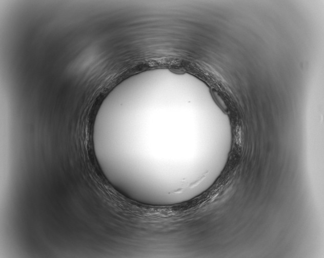 X0000096470915200801241135