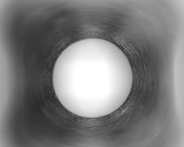 X0000096470916200801241135