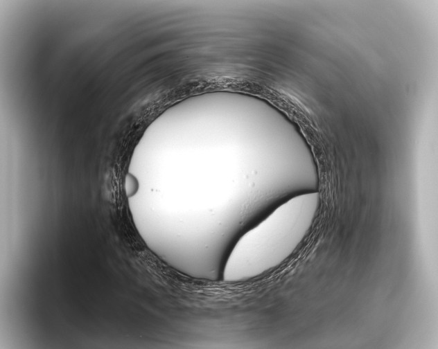 X0000096470917200801241135