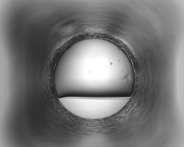 X0000096470919200801241135