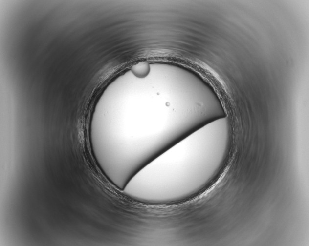 X0000096470921200801241135