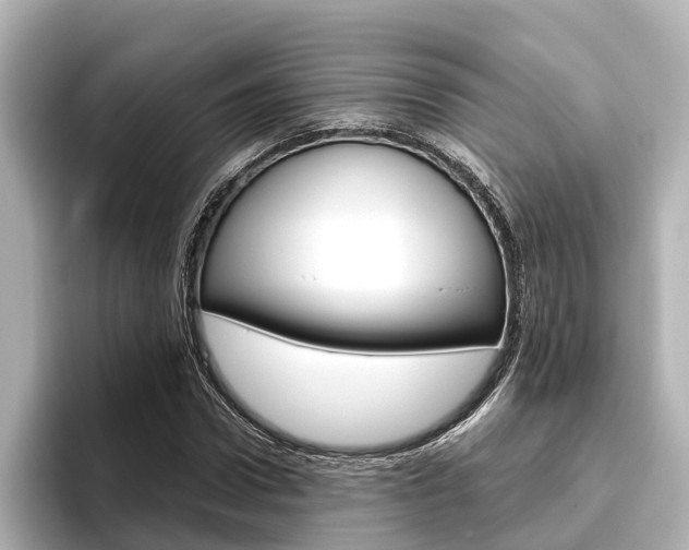 X0000096470922200801241135