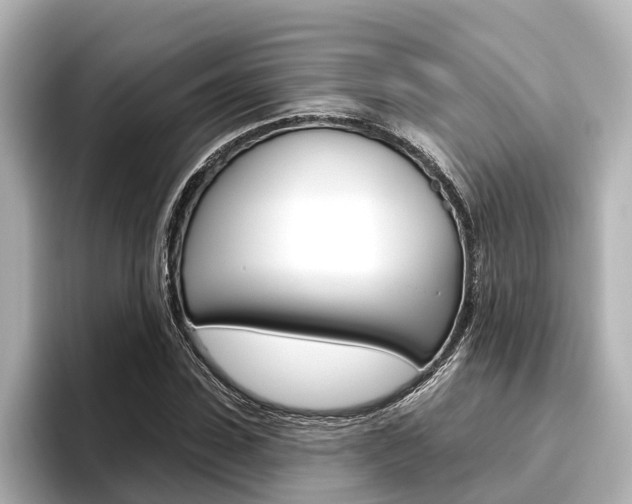 X0000096470923200801241135