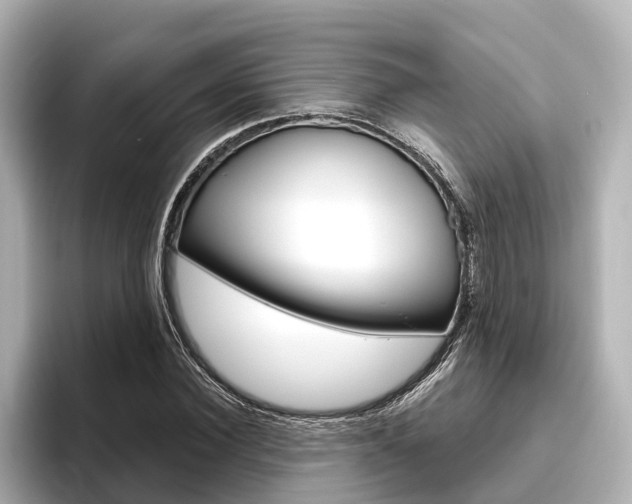 X0000096470924200801241135