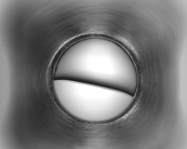 X0000096470926200801241135