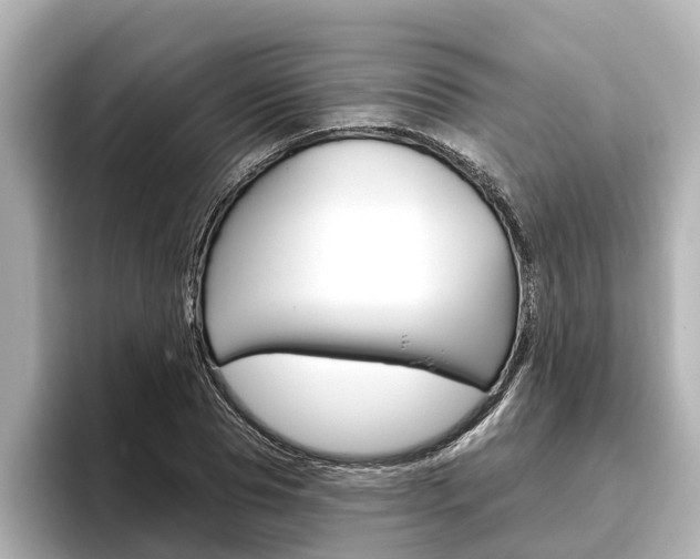 X0000096470929200801241135