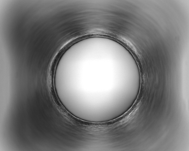 X0000096470931200801241135