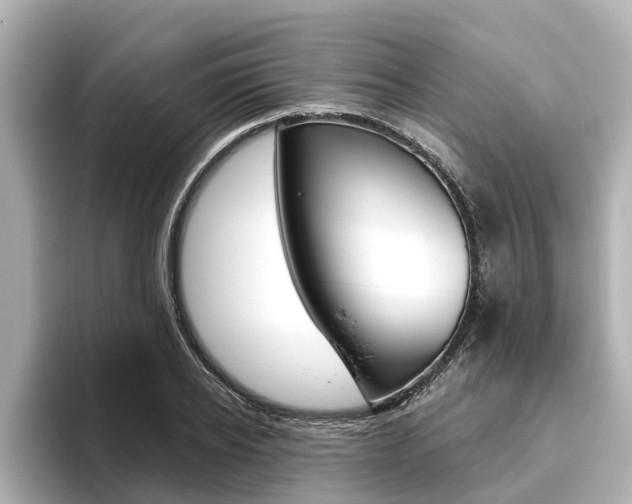 X0000096470934200801241135