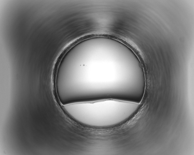 X0000096470935200801241135