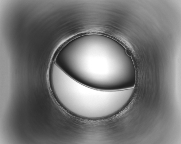 X0000096470936200801241135