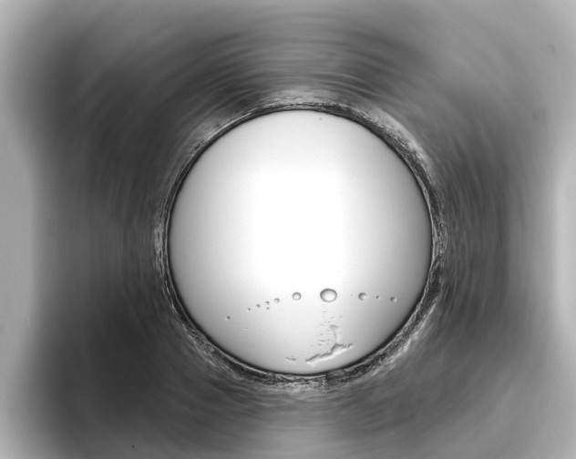 X0000096470937200801241135