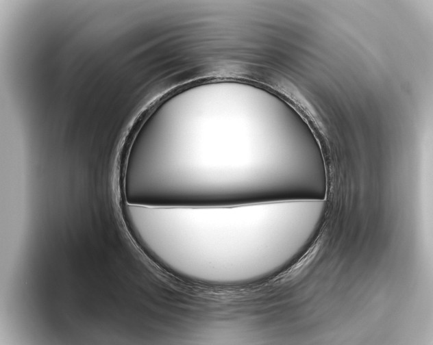 X0000096470939200801241135