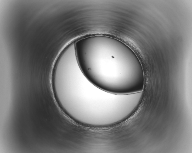 X0000096470942200801241135