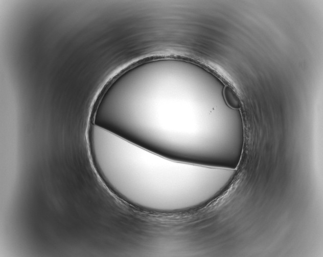X0000096470943200801241135