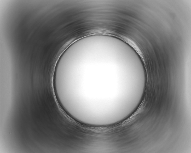 X0000096470946200801241135