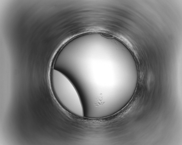 X0000096470947200801241135